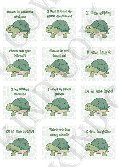 Turtle Communication Cards, ASD Non-verbal Support Keyring
